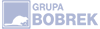 logo-gb-jasne